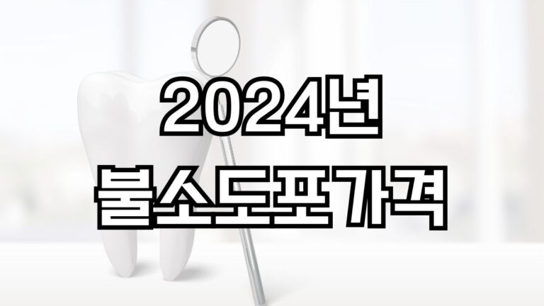 2024년 불소도포 가격