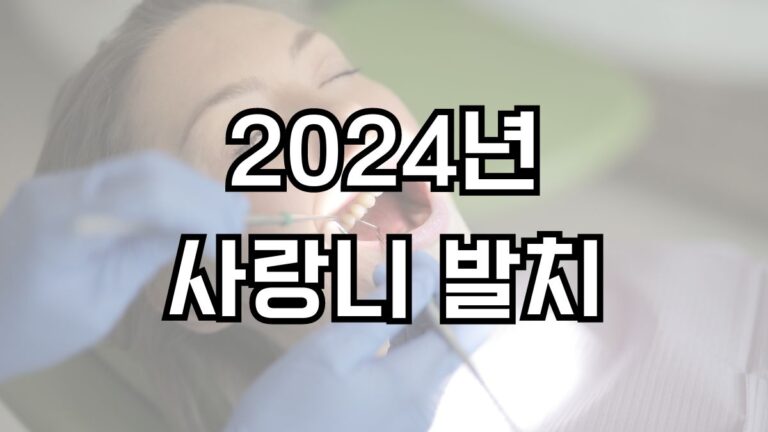 2024년 사랑니 발치