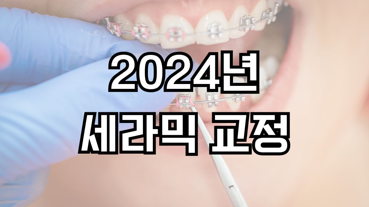 2024년 세라믹 교정