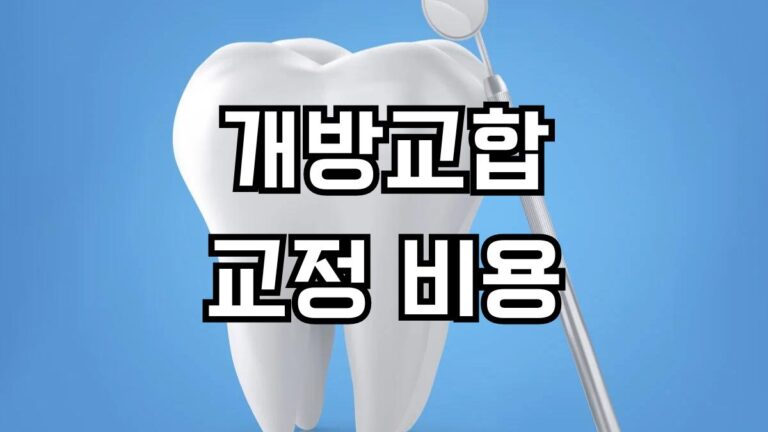 개방교합 교정 비용