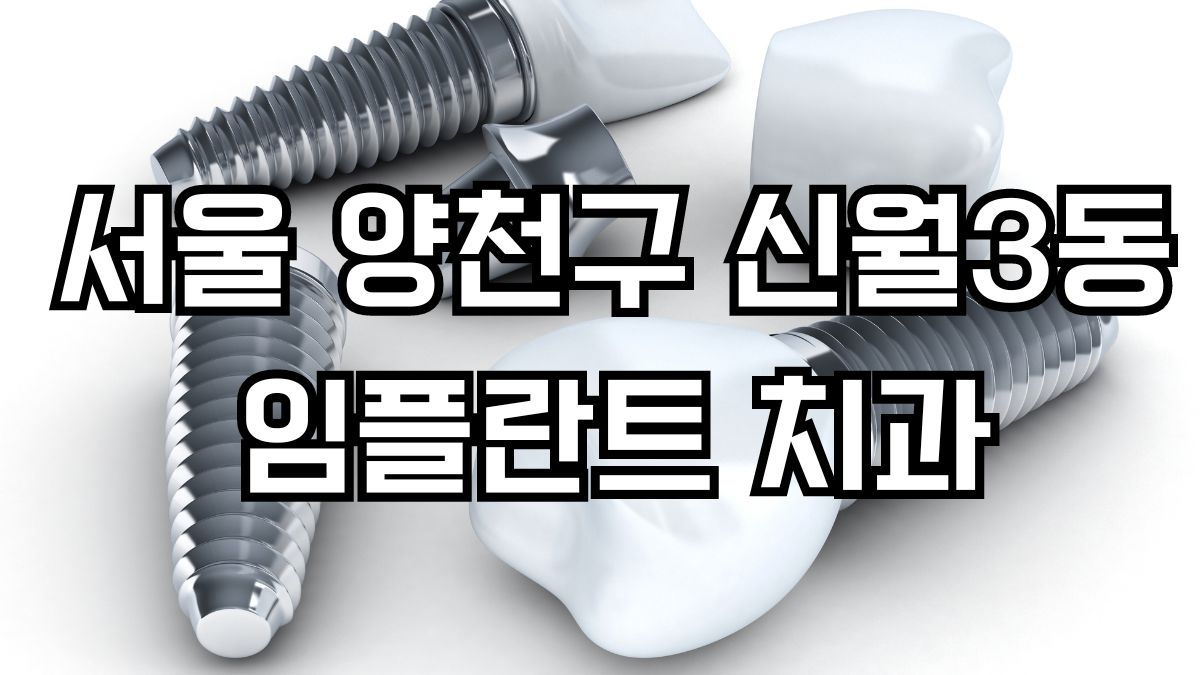 서울 양천구 신월3동 임플란트