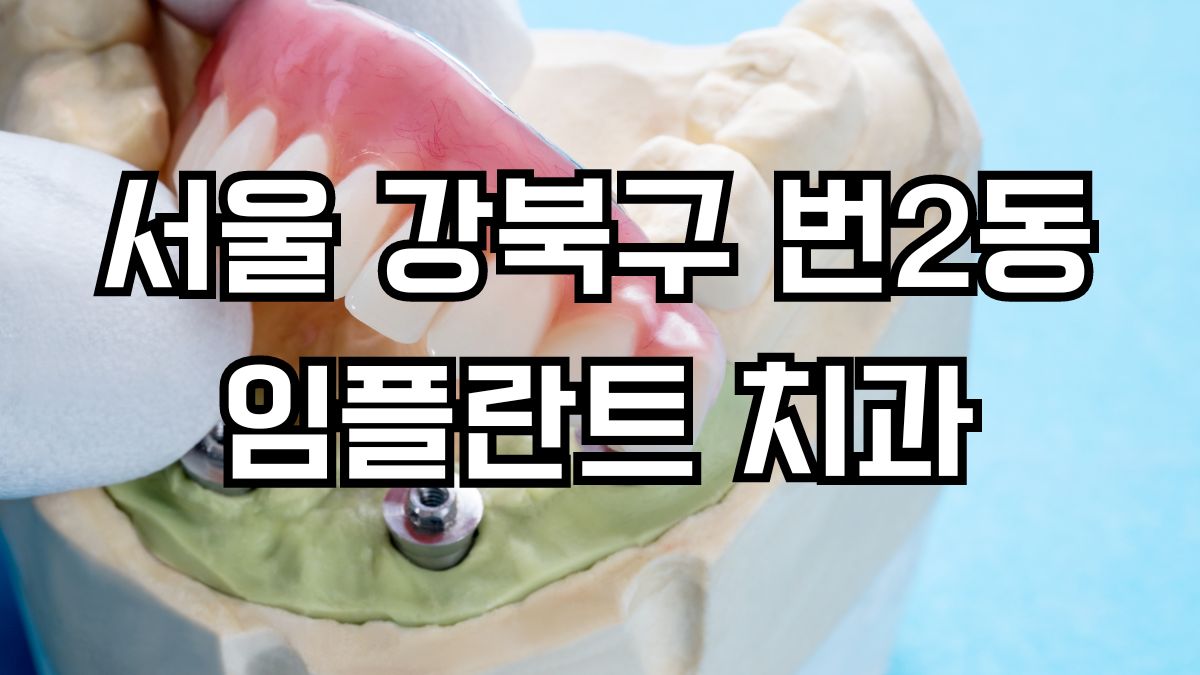 서울 강북구 번2동 임플란트