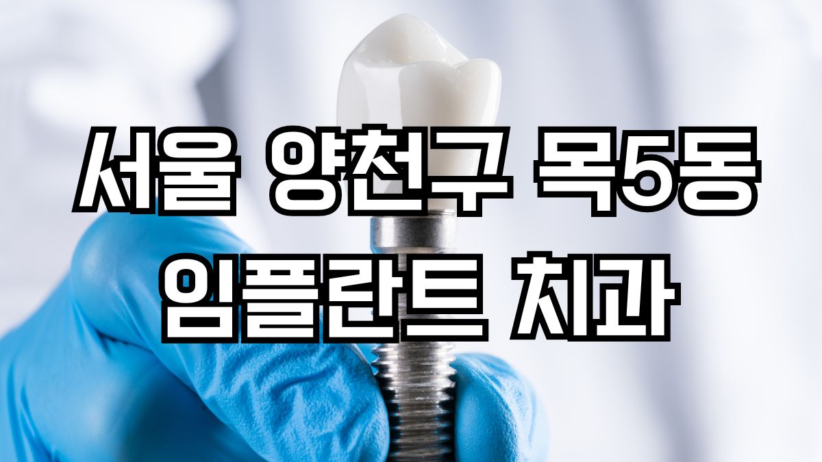 서울 양천구 목5동 임플란트