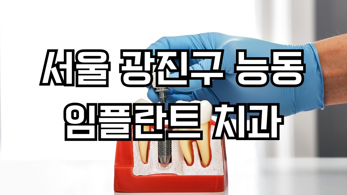 서울 광진구 능동 임플란트