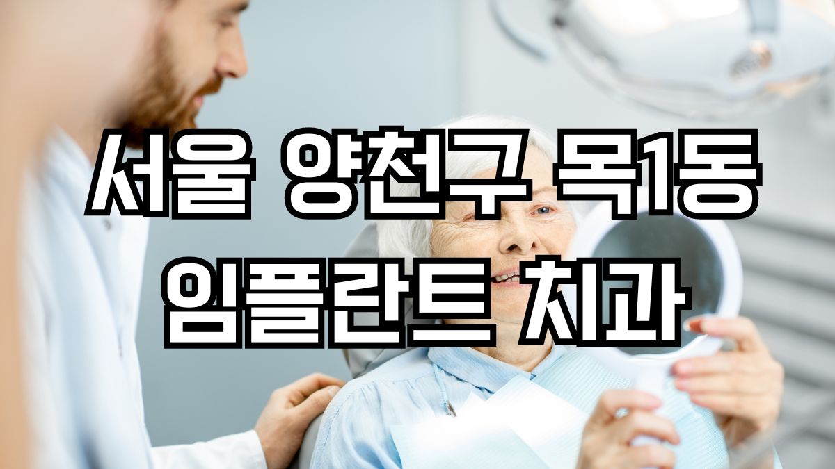 서울 양천구 목1동 임플란트