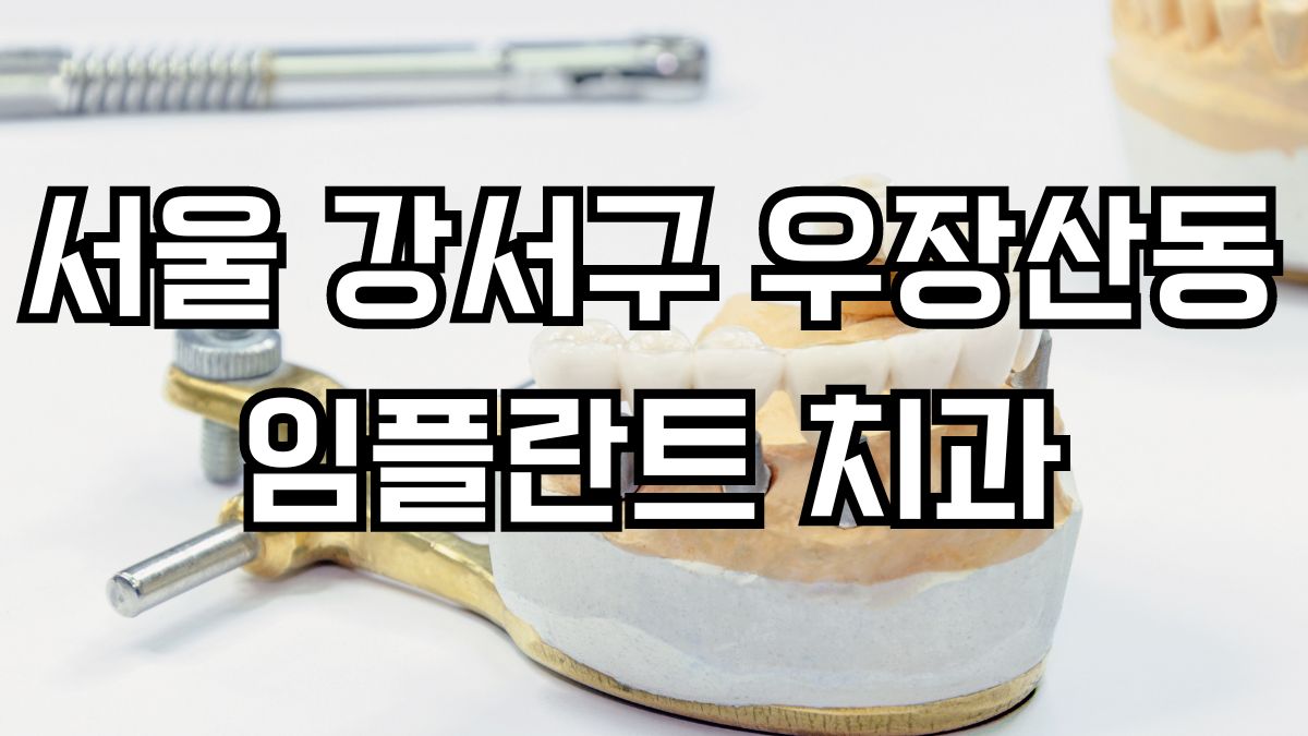 서울 강서구 우장산동 임플란트