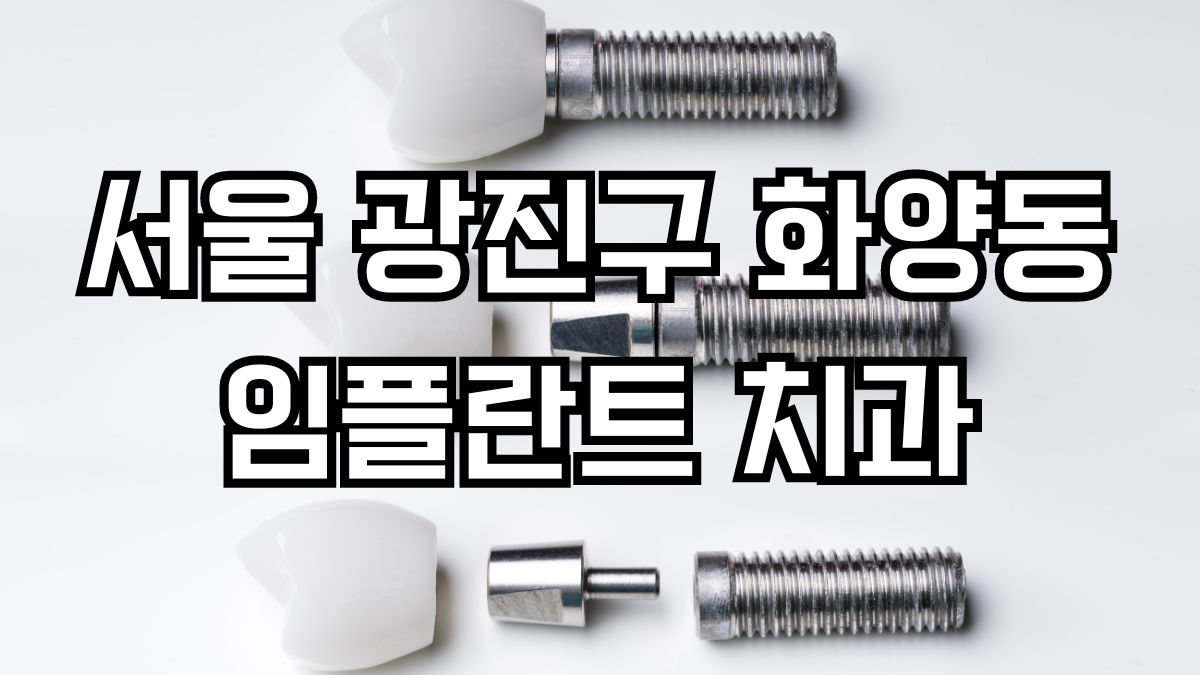 서울 광진구 화양동 임플란트