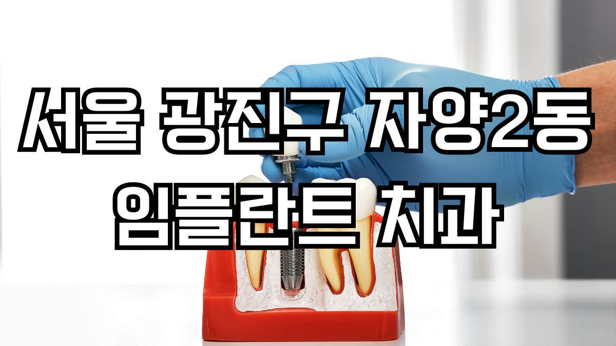 서울 광진구 자양2동 임플란트