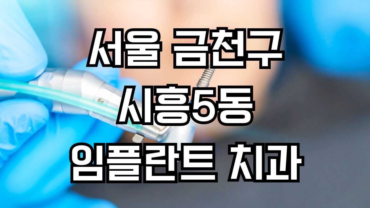 서울 금천구 시흥5동 임플란트