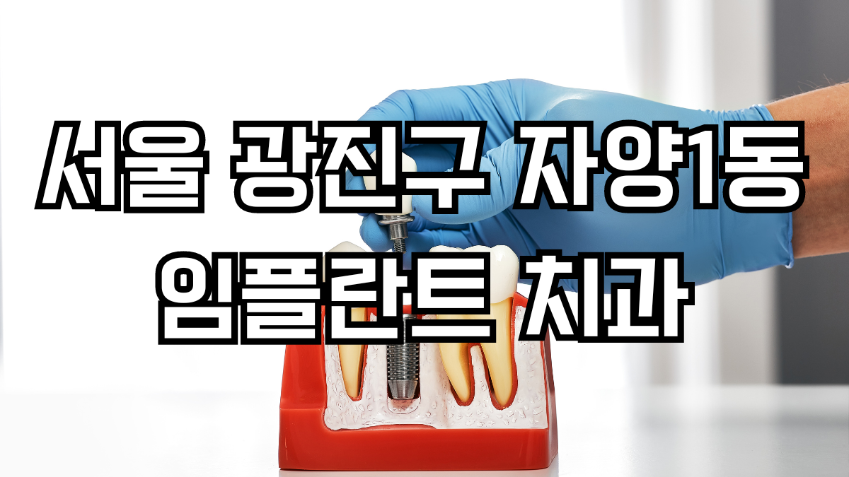 서울 광진구 자양1동 임플란트